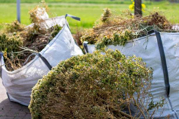 Debris Removal in Lincoln Village, OH
